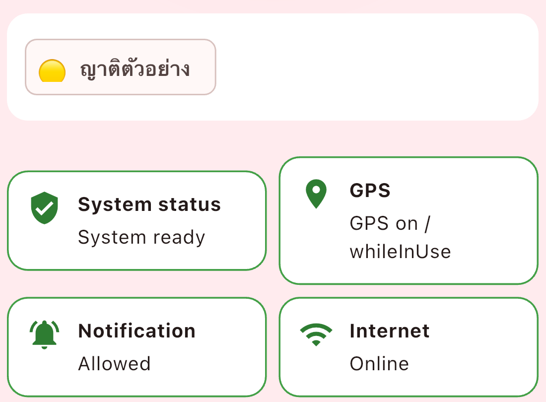 Internet Online, Notification Allowed และ GPS whileInUse